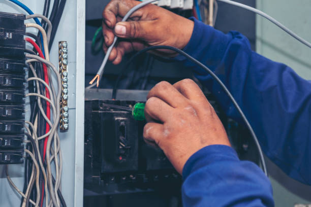 Best Affordable Electrician  in Inver Grove Heights, MN